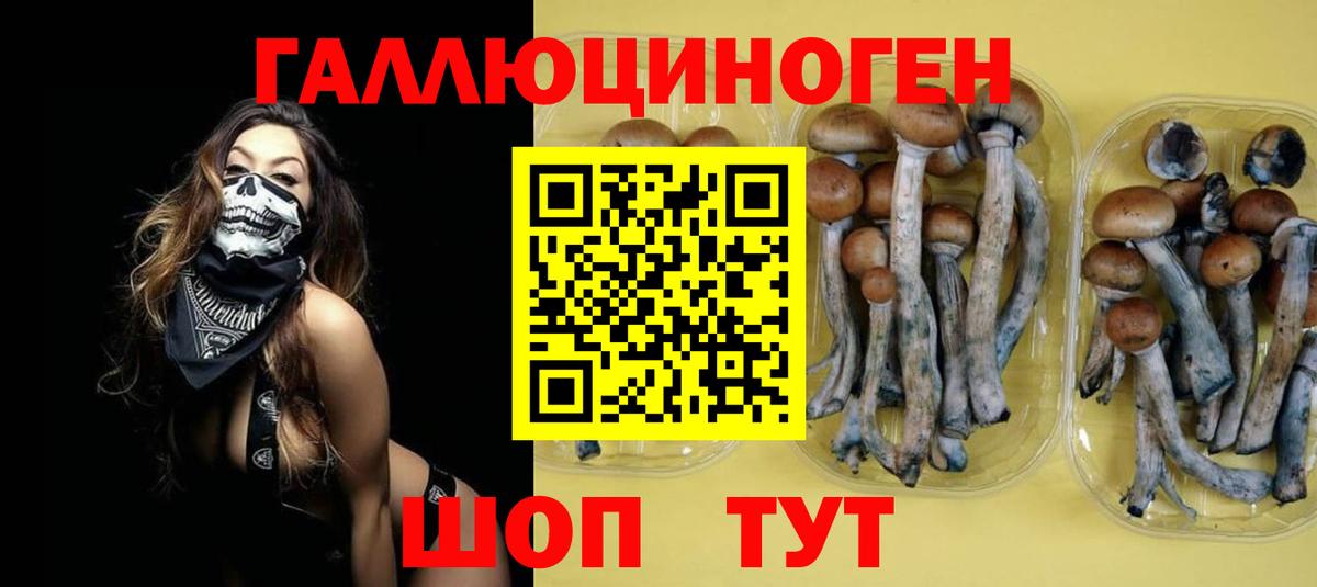 Семёнов  Галлюциногенные грибы Psilocybe  что такое наркотик  Вход с VPN  Галлюциногенные грибы мицелий 